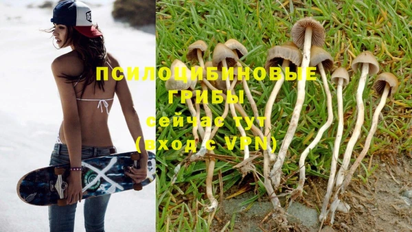 PSILOCYBIN Арсеньев