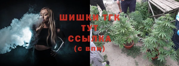 PSILOCYBIN Арсеньев