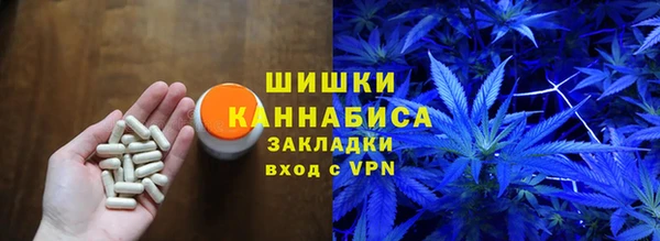PSILOCYBIN Арсеньев