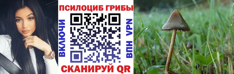 MEGA сайт  даркнет сайт  Усинск  Галлюциногенные грибы Magic Shrooms 